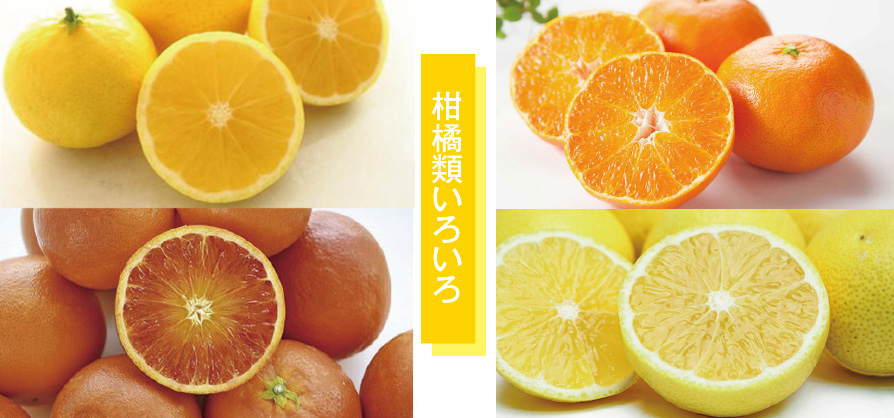 その他柑橘